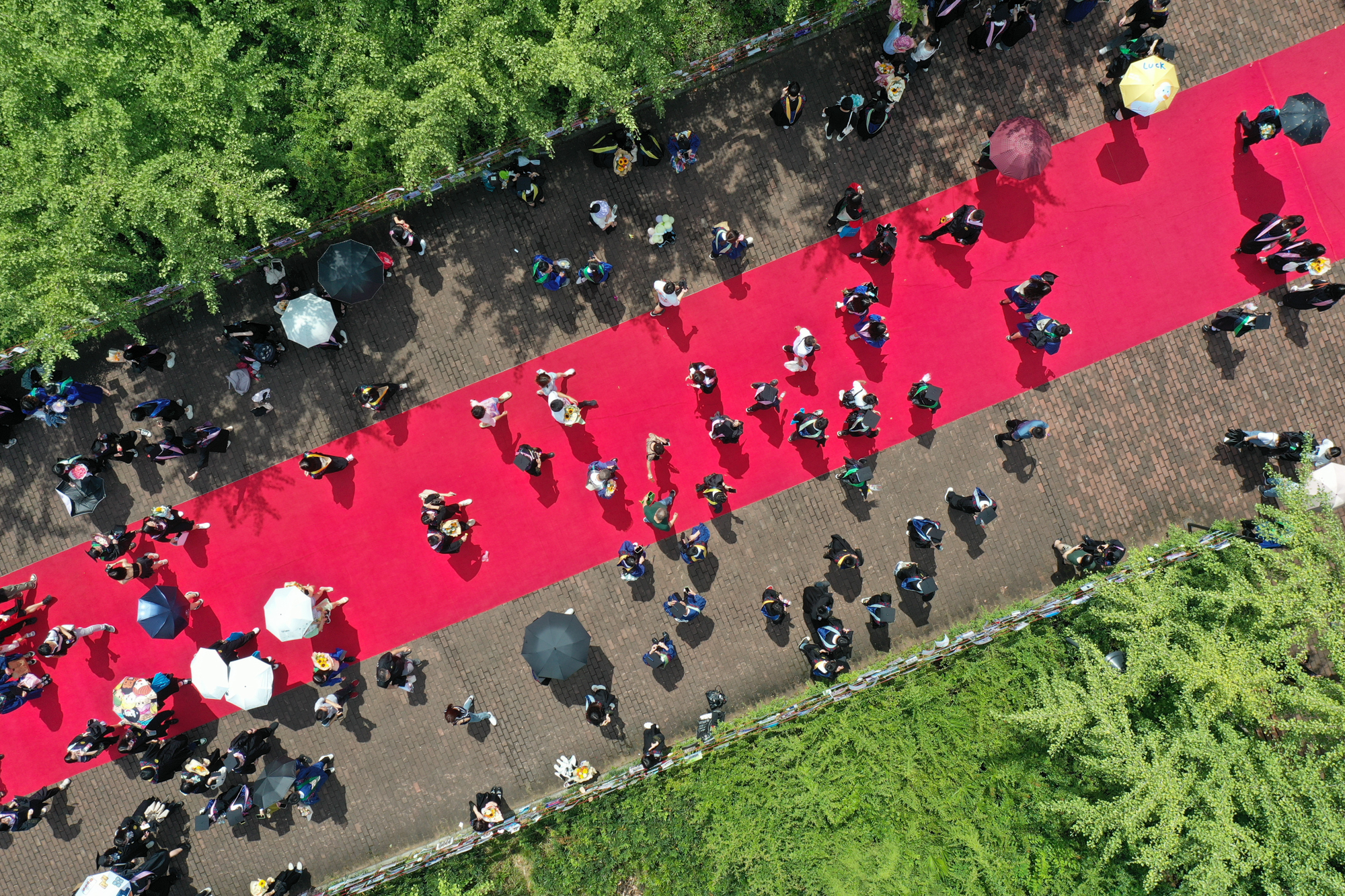2022年6月26日上午狮子山广场毕业生走红毯学通社记者周全摄