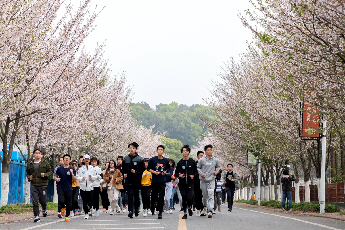 师生共同跑过樱花路（学通社记者 骆嘉 摄）_副本